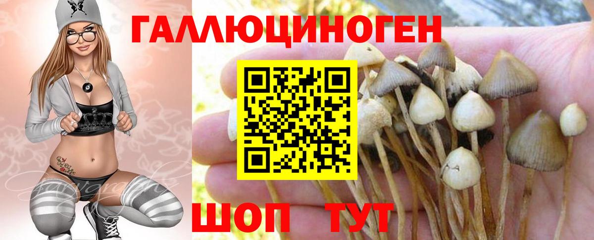 Сухой Лог  Псилоцибиновые грибы ЛСД  Псилоцибиновые грибы GOLDEN TEACHER  Вход с VPN 