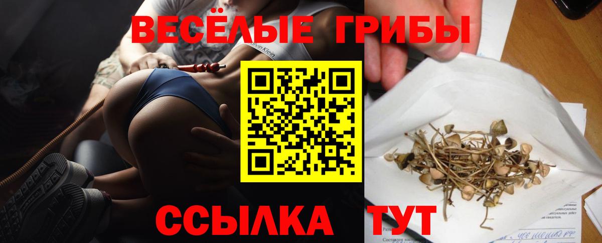 Галлюциногенные грибы Cubensis Сухой Лог